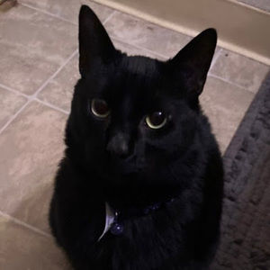 Meet your Posher, Kailani